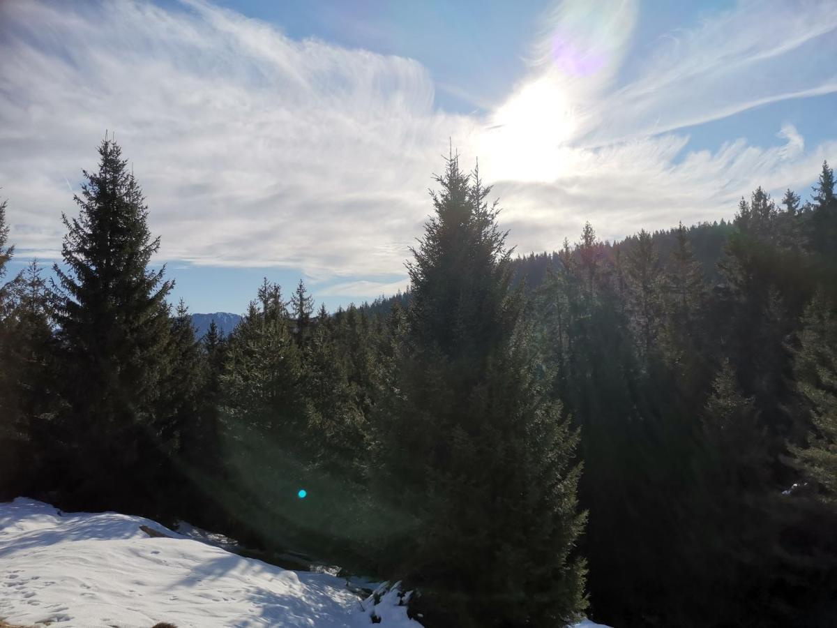 Ferienwohnung In Trin Экстерьер фото